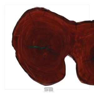 Mesa Resinada de Jantar Sérvia -  Madeira Maciça e Pés de ferro 1,15 X 0,70