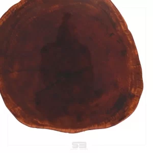 Mesa Resinada de Centro/ Cabeceira CARDIFF - Madeira Maciça e Pés de ferro Diâmetro 58 CM   