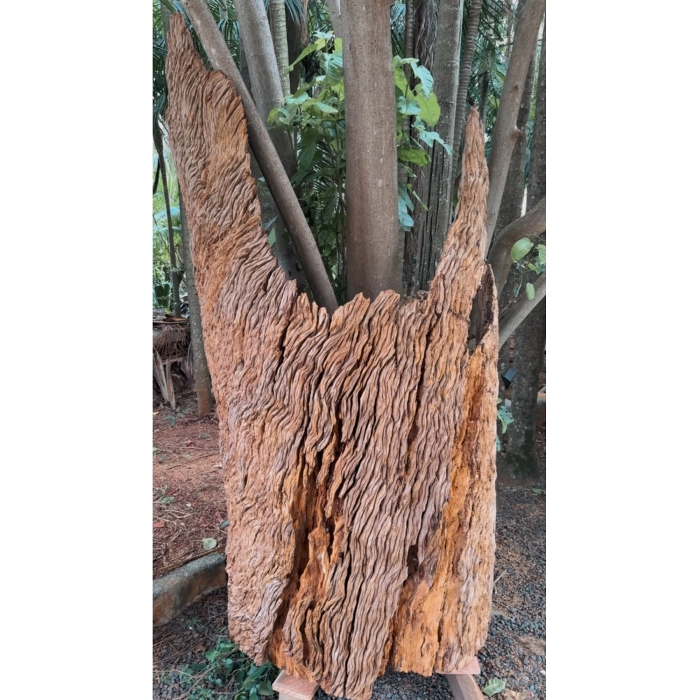 TRONCO RÚSTICO PEÇA EXCLUSIVA DE MADEIRA NATURAL PROVENIENTE DE DEMOLIÇÃO PEROBA ROSA